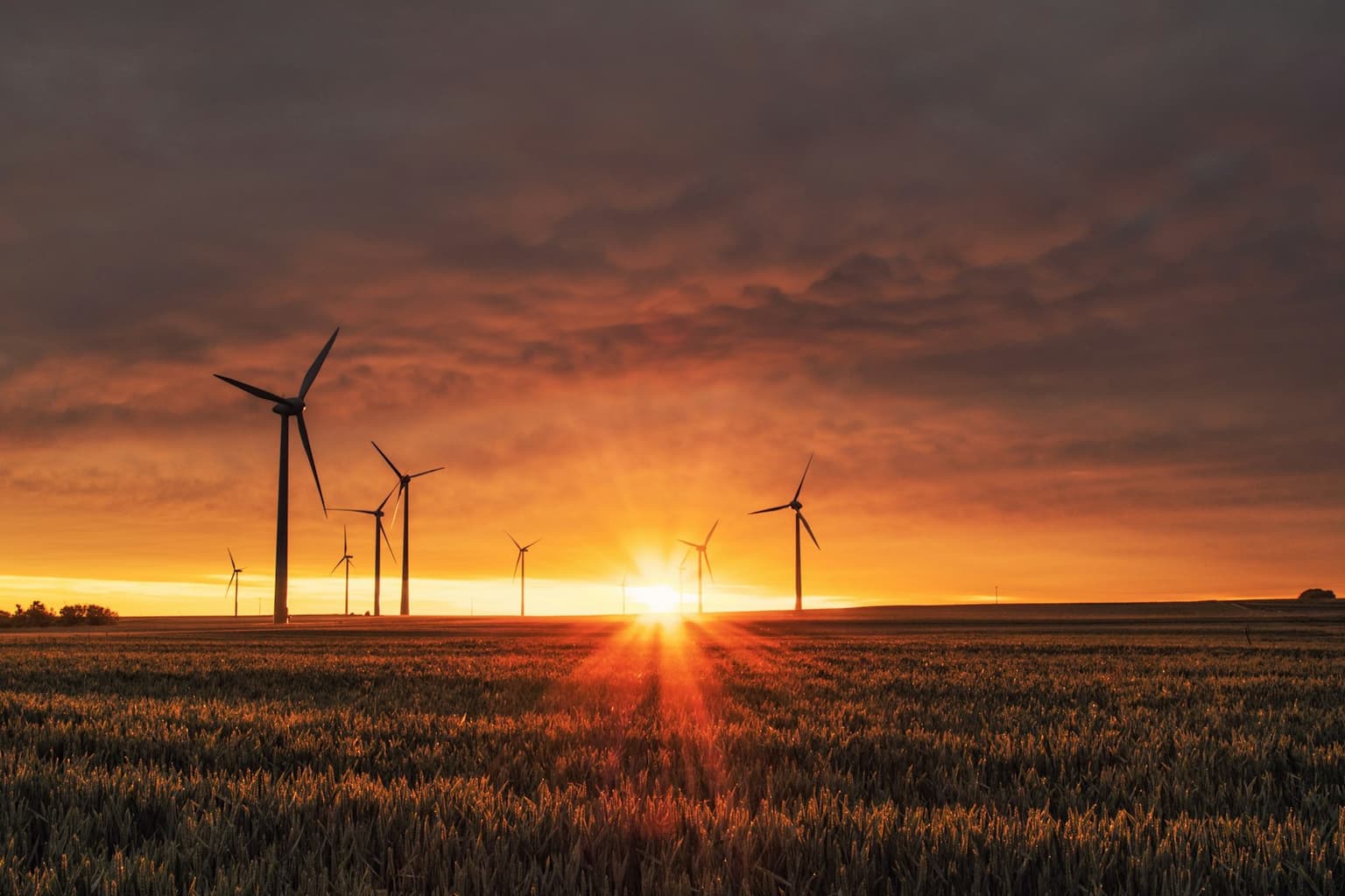 Wind turbines on a ridge at sunset